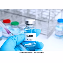 rabies injection