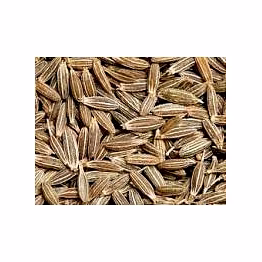 high grade cumin seeds