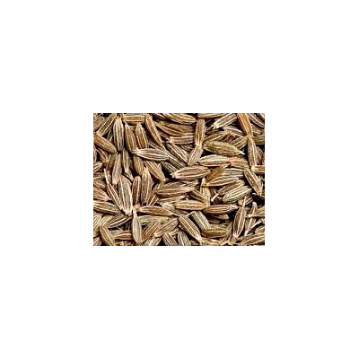 high grade cumin seeds