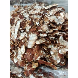 seedless tamarind