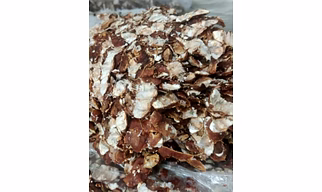 seedless tamarind
