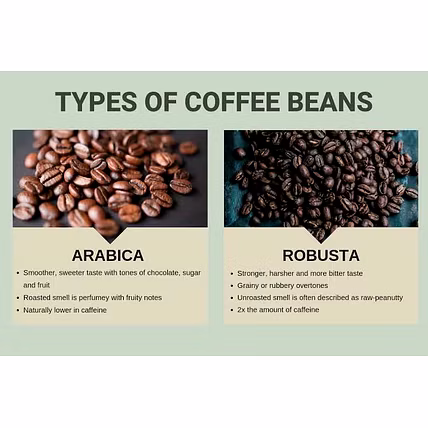 PREMIUM SOUTH INDIAN COFFEE BEANS – ARABICA &amp; ROBUSTA BLEND FROM KODAGU-1