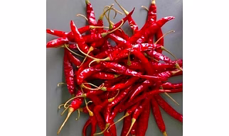 Dried Red Chilles
