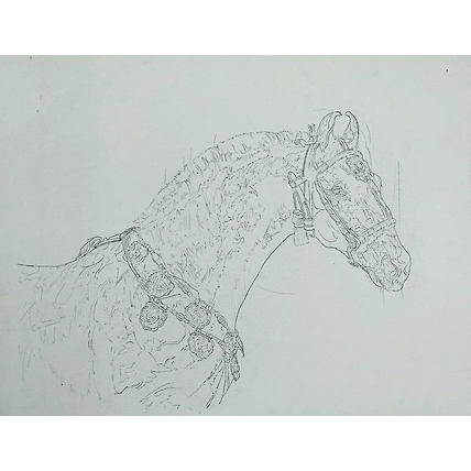 marwadi horse paintings on canvas-1