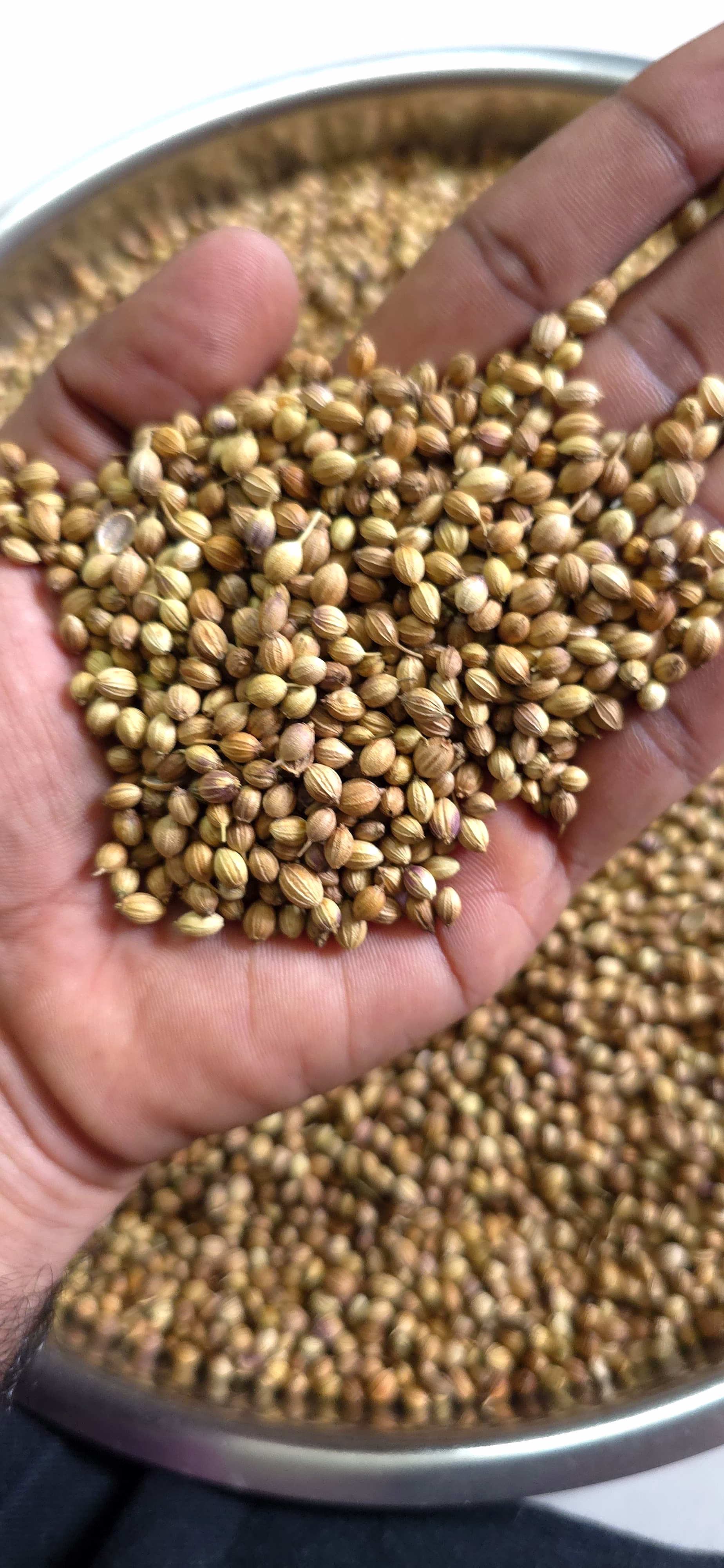 coriander seeds