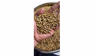 coriander seeds