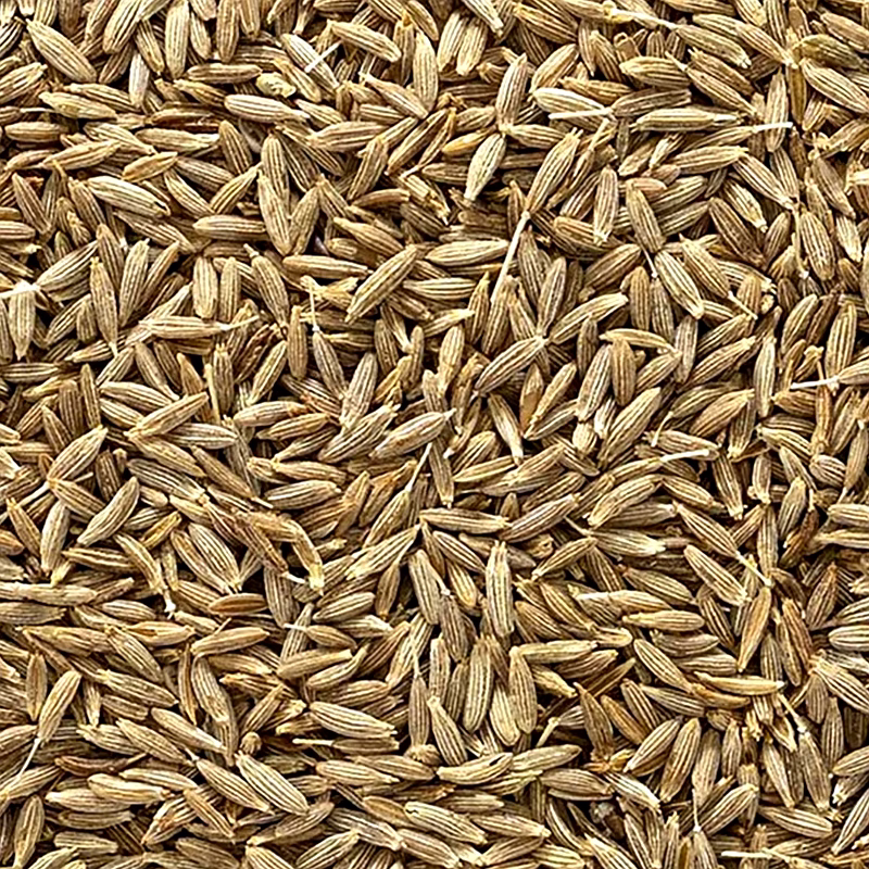Cumin Seeds image 1