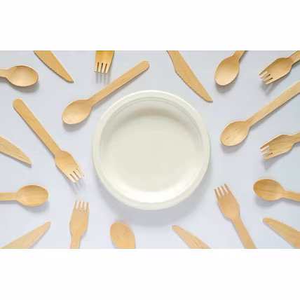 Biodegradable Sugarcane Bagasse Tableware-5
