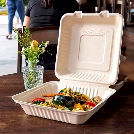 Biodegradable Sugarcane Bagasse Tableware-4