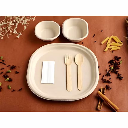 Biodegradable Sugarcane Bagasse Tableware-3