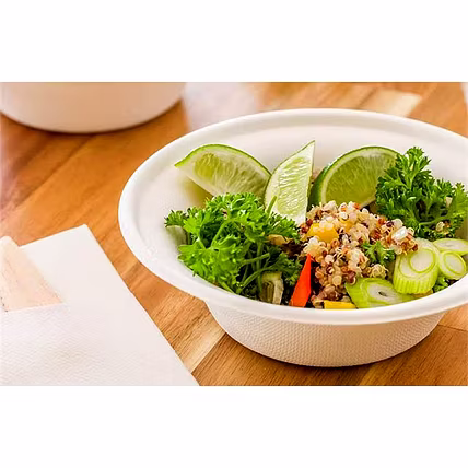 Biodegradable Sugarcane Bagasse Tableware-2