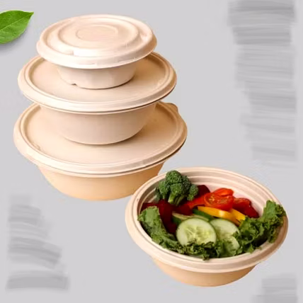 Biodegradable Sugarcane Bagasse Tableware-12754151