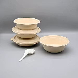 Container - Sugarcane Bagasse Tableware