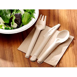 cutlery - sugarcane bagasse tableware
