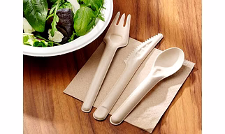 Cutlery - Sugarcane Bagasse Tableware