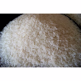 dharmic golden jasmin rice
