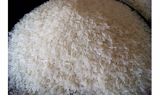 Golden jasmin rice