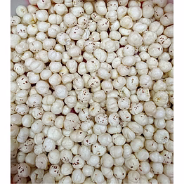 makhana - grade 5+ suta
