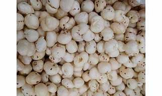 Makhana - Grade 4+ Suta