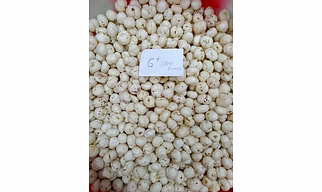 Makhana - Grade 6+ Suta