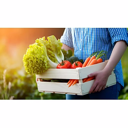 fresh fruits and vegetables