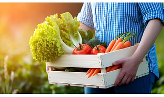 Fresh Fruits and Vegetables