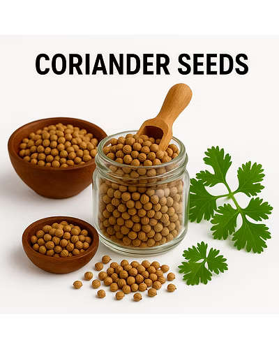 Coriander Seeds-1014