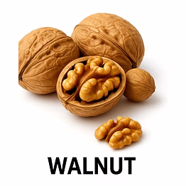 walnut