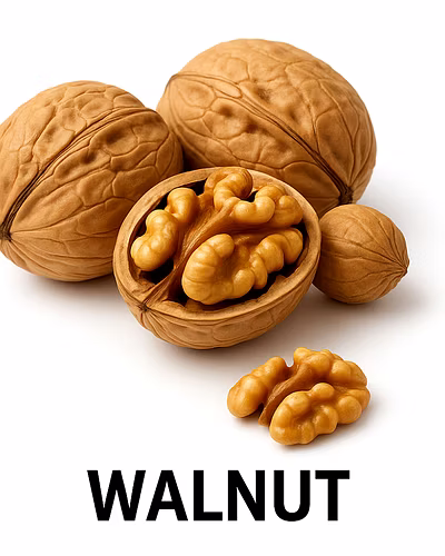 WALNUT-1032