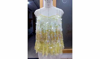 EMBROIDERY  LADIES DRESS
