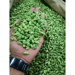 Green Cardamom (Export Quality)