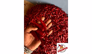 DRY RED CHILLI (GT - STEMLESS)🌶️🌶️