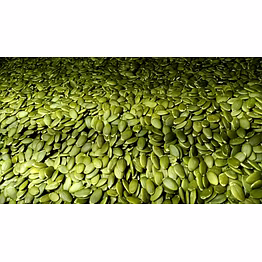 pumpkin seeds