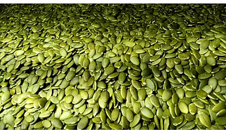 Pumpkin Seeds