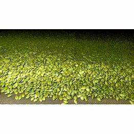 pumpkin seeds kernal