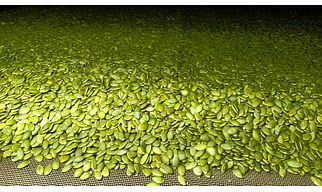 Pumpkin Seeds kernal