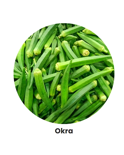 Onions-2