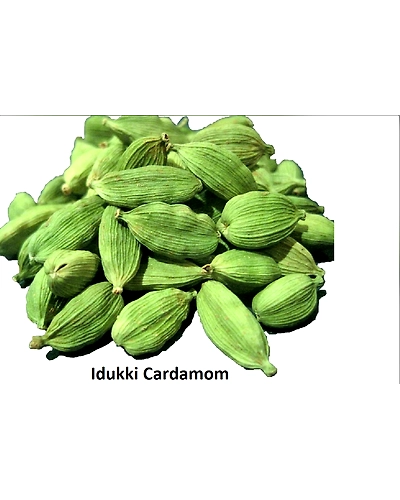 Green Premium Quality Idukki Cardamon-1