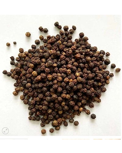 Black Pepper-1