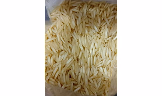 Steam Basmati Rice 1509