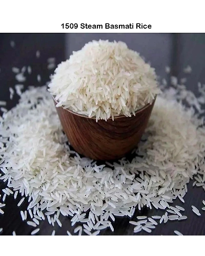 Steam Basmati Rice 1509-2