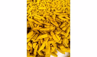 Turmeric