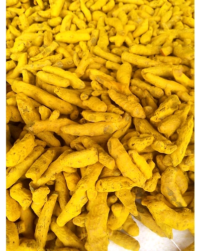 Turmeric-2