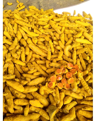 Turmeric-10010