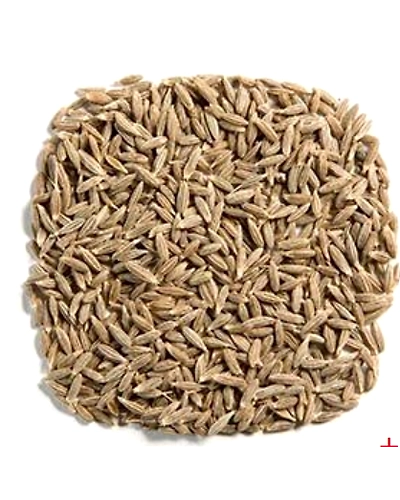 Cumin Seeds-2
