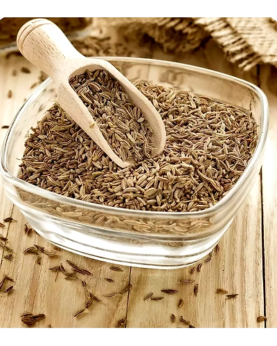 Cumin Seeds-1212121