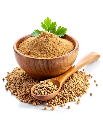 Coriander Powder-1
