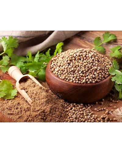 Coriander Powder-140006