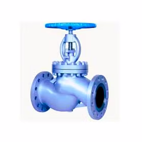 Globe Valve