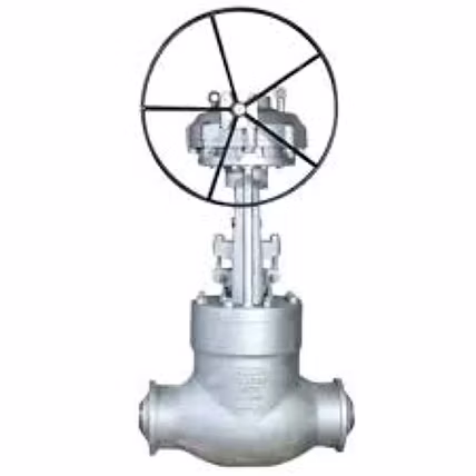 Globe Valve-2